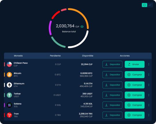 Vista de billetera en la aplicación web de Skipo con balance y monedas del usuario.